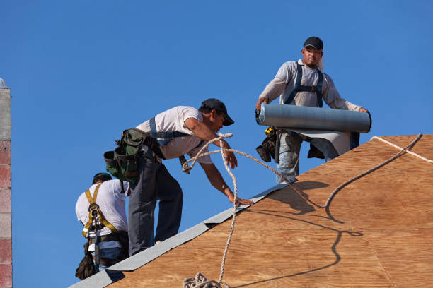 Roof Gutter Cleaning in Glen Dale, WV