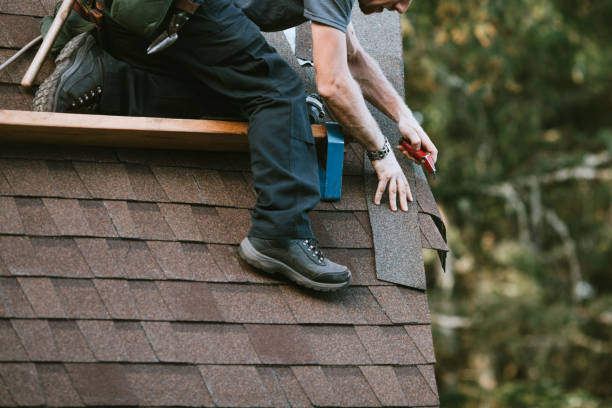 Best Roof Gutter Cleaning  in Glen Dale, WV